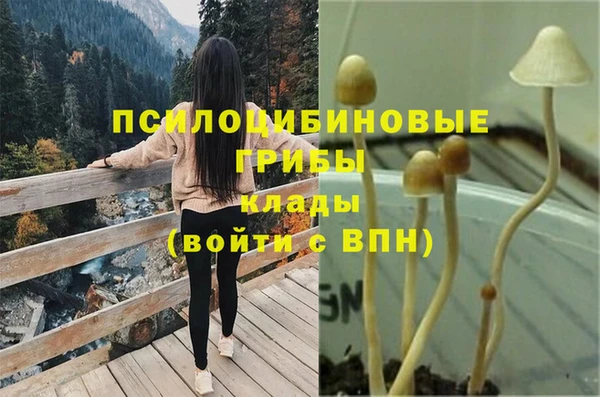 соль курить ск Арсеньев
