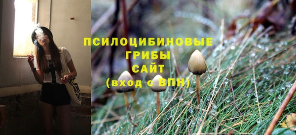 соль ск Аркадак