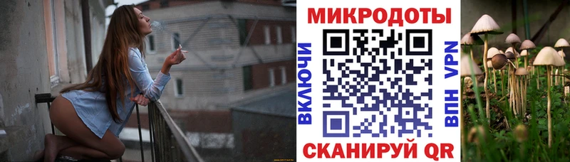 Галлюциногенные грибы мицелий  Саки 